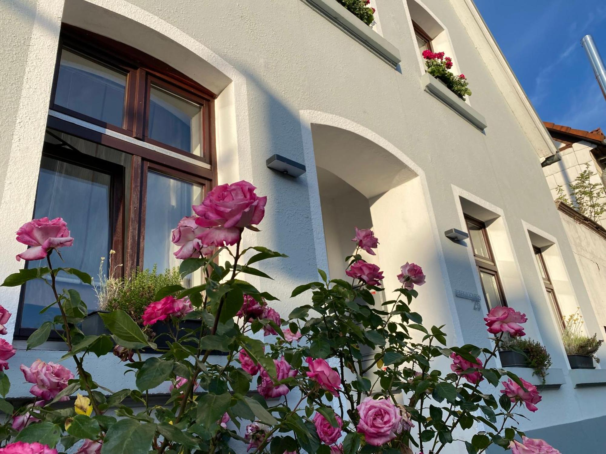 Reisekultouren Apartments Детмолд Екстериор снимка